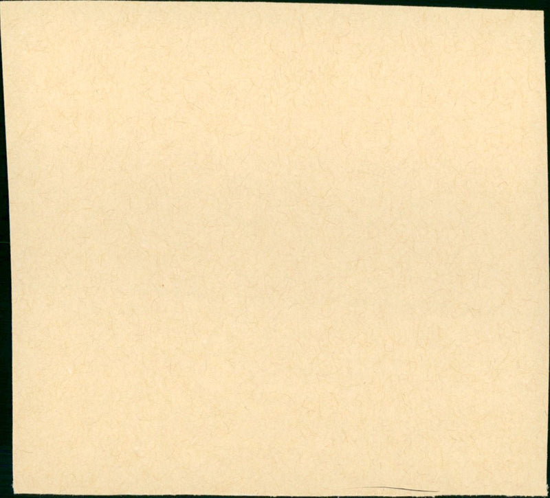 Back to Bataan - Vintage Photograph