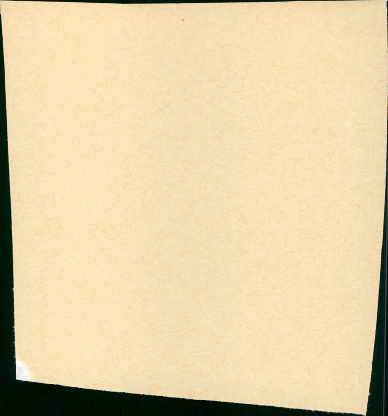 The King and I - Vintage Photograph