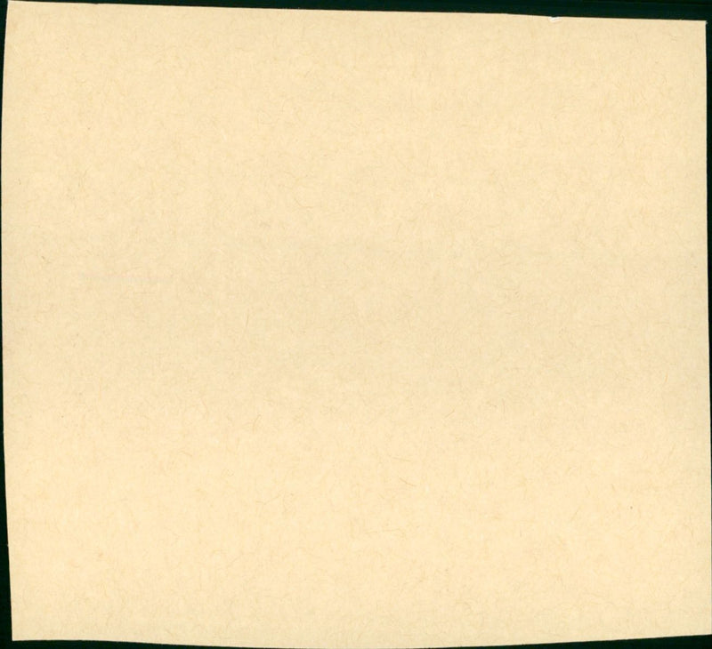 Back to the Future - Vintage Photograph