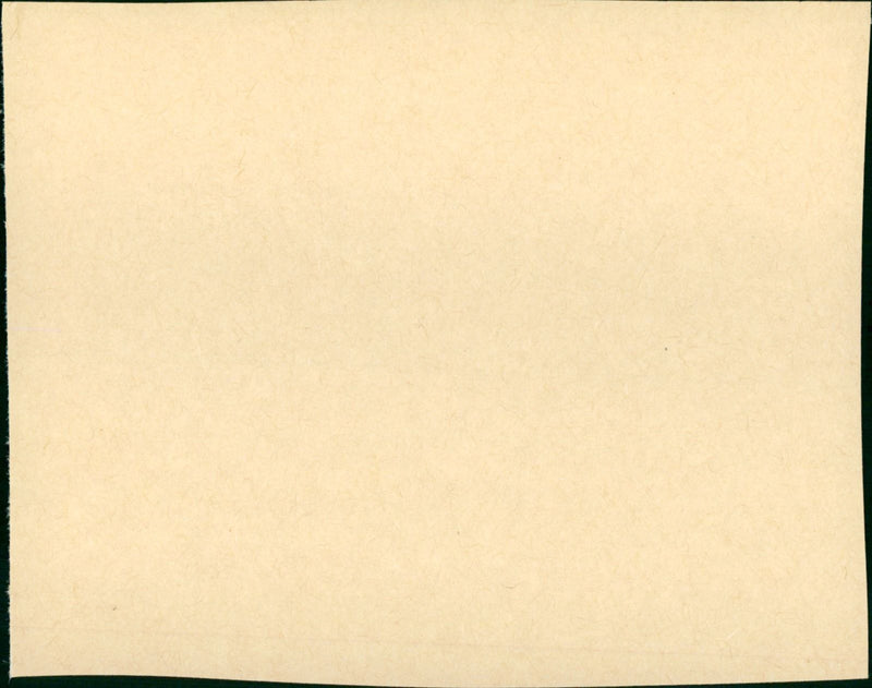 Back to the Future Part II - Vintage Photograph