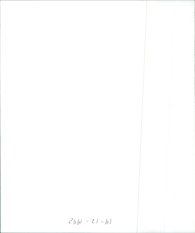 King Creole - Vintage Photograph