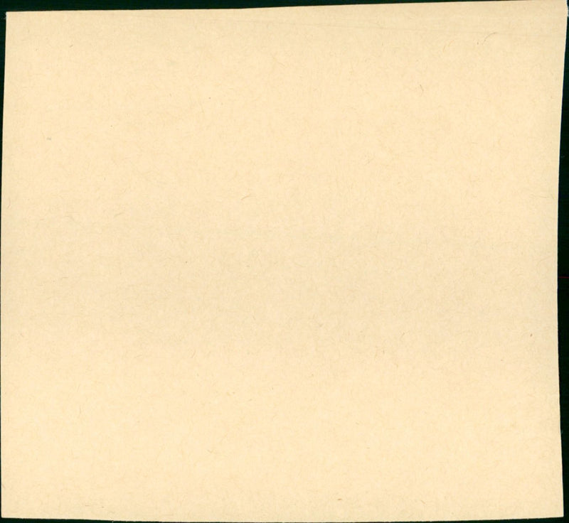 Backfire - Vintage Photograph