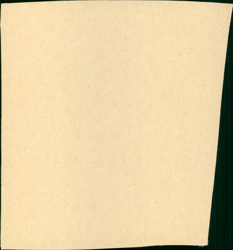 Aus einem deutschen Leben - Vintage Photograph