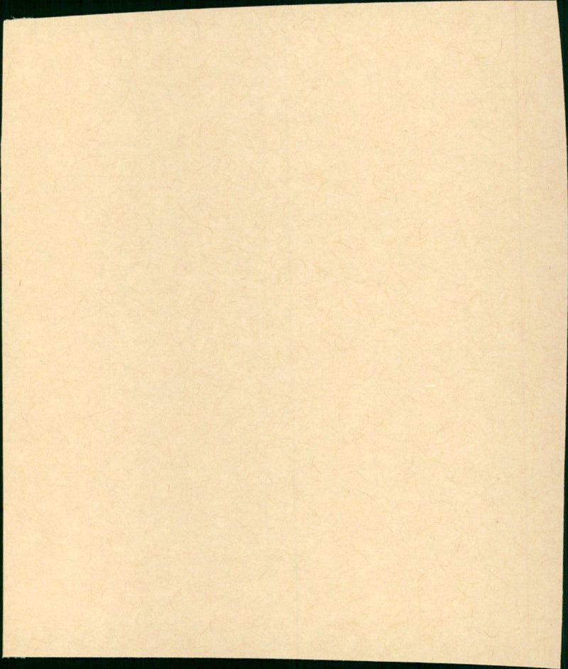 Ausgerechnet Zoé - Vintage Photograph