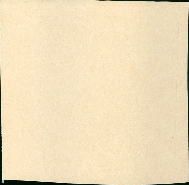 The Invisible Woman - Vintage Photograph