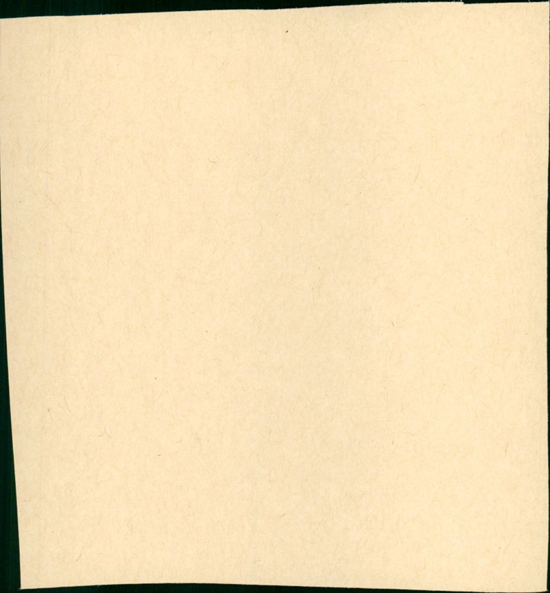 Invitation - Vintage Photograph