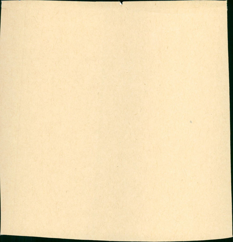 Irezumi - Vintage Photograph