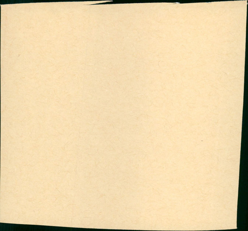 Five Pennies - Vintage Photograph