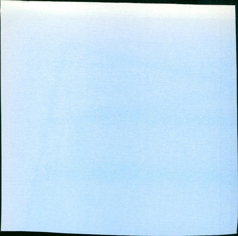 Fixed Bayonets - Vintage Photograph