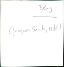 Flag - Vintage Photograph