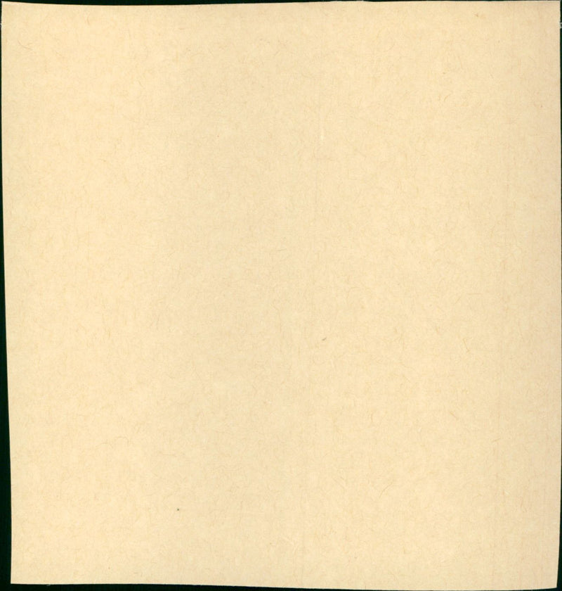 Flag - Vintage Photograph