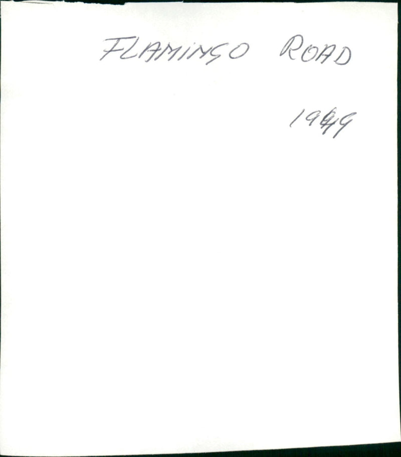 Flamingo Road - Vintage Photograph