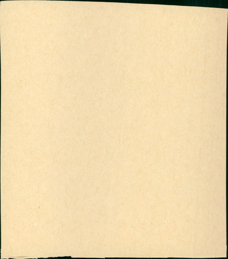 Flamingo Road - Vintage Photograph