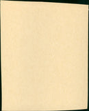 Flaming Star - Vintage Photograph