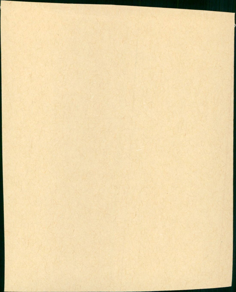 Flaming Star - Vintage Photograph