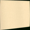 Flanagan Boy - Vintage Photograph