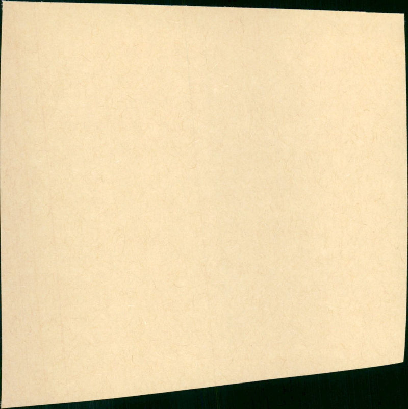 Flanagan Boy - Vintage Photograph