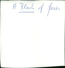 A Flash of Green - Vintage Photograph