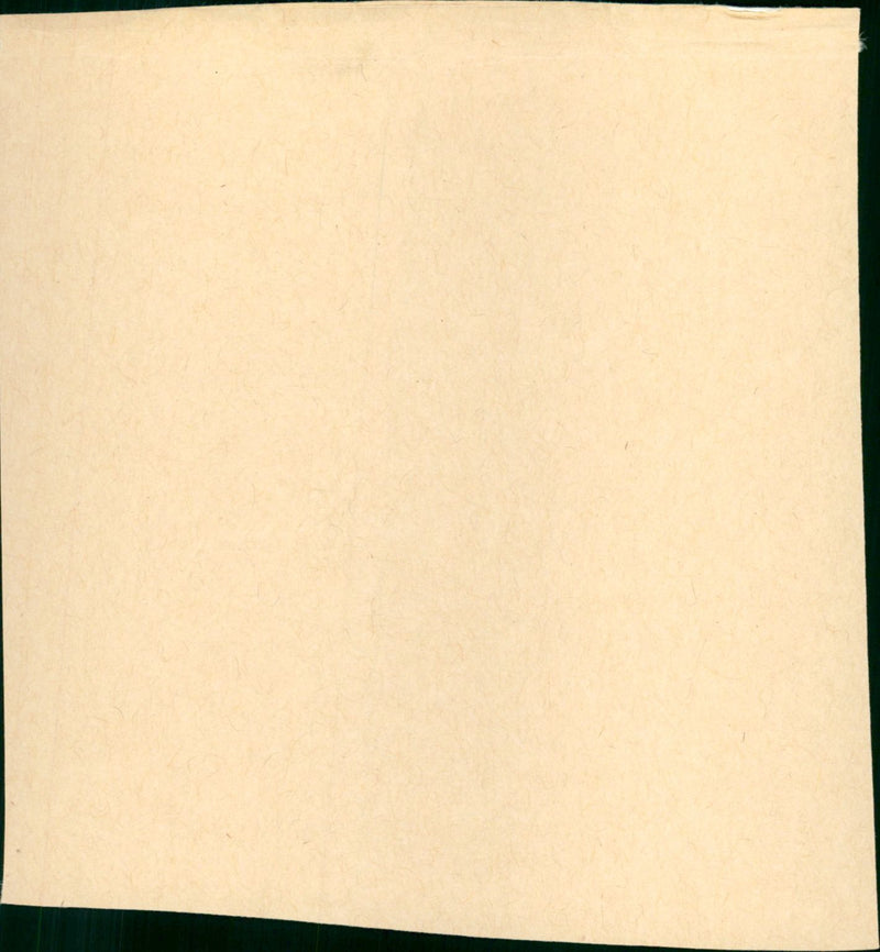 Flashdance - Vintage Photograph