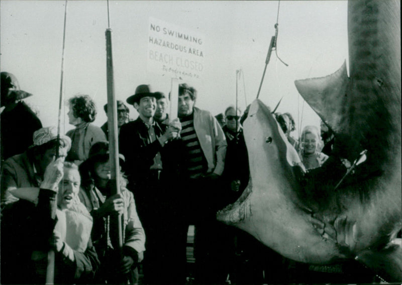 Jaws 1974 - Vintage Photograph