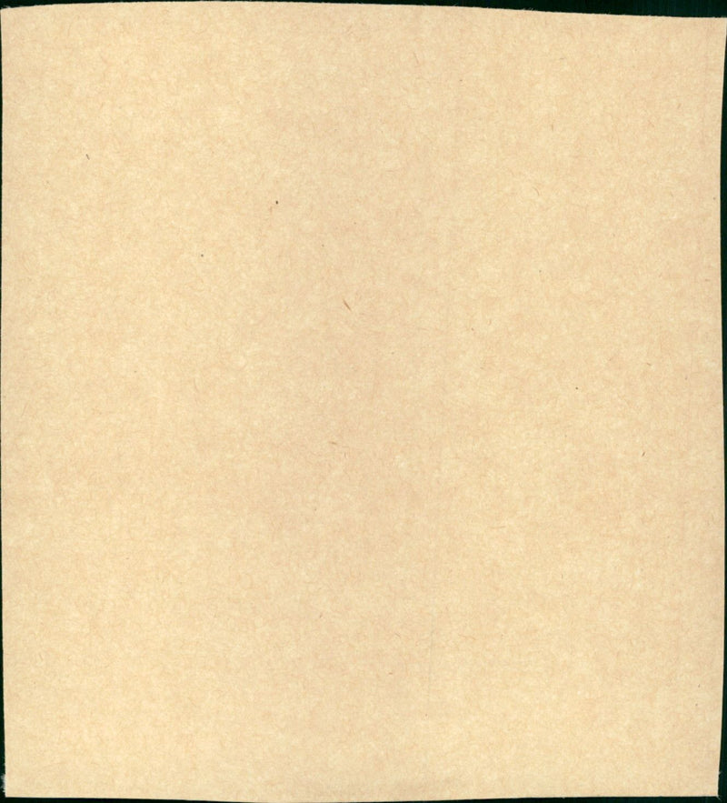 Jaws and Jaws 2 - Vintage Photograph