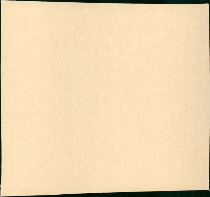 Jaune Revolver - Vintage Photograph