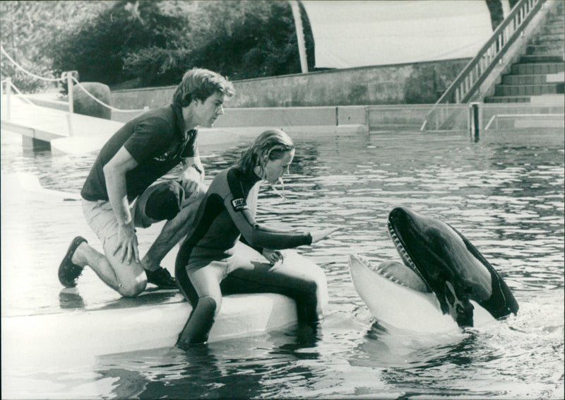 Jaws 3-D". - Vintage Photograph