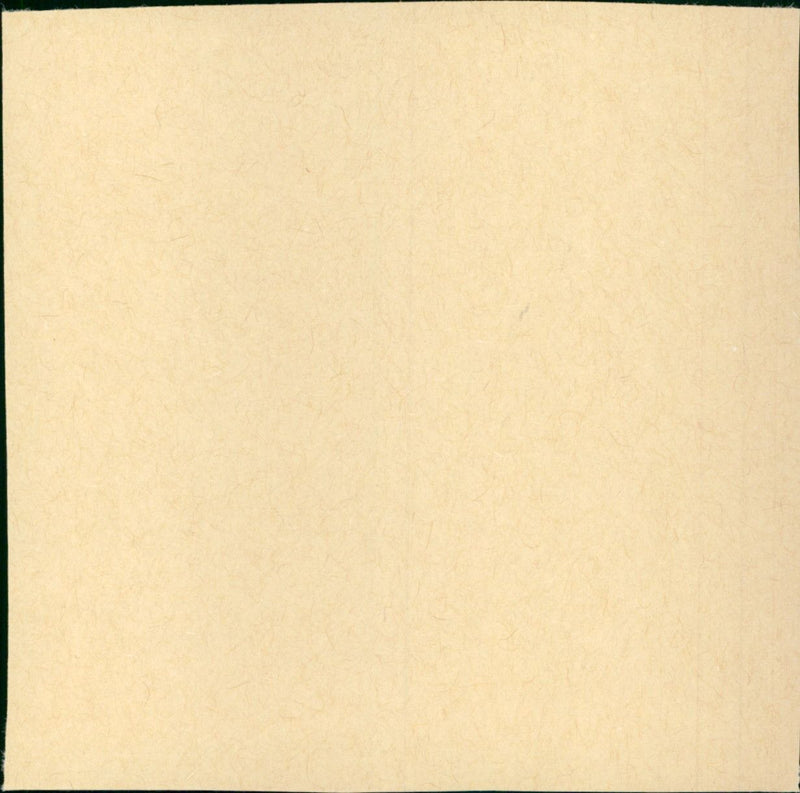 Jeanies Clique 1979 - Vintage Photograph