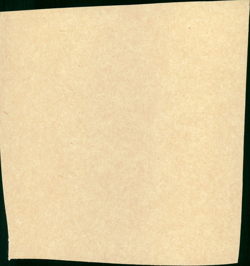 Father's Little Dividend - Vintage Photograph