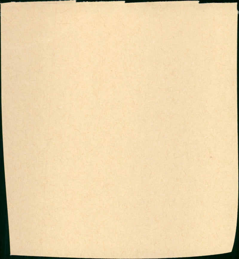 Fatty Finn - Vintage Photograph