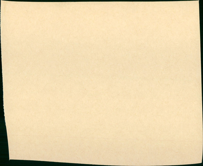 Faustrecht der Freiheit - Vintage Photograph