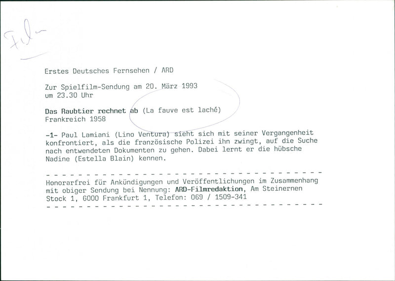 La fauve est laché - Vintage Photograph