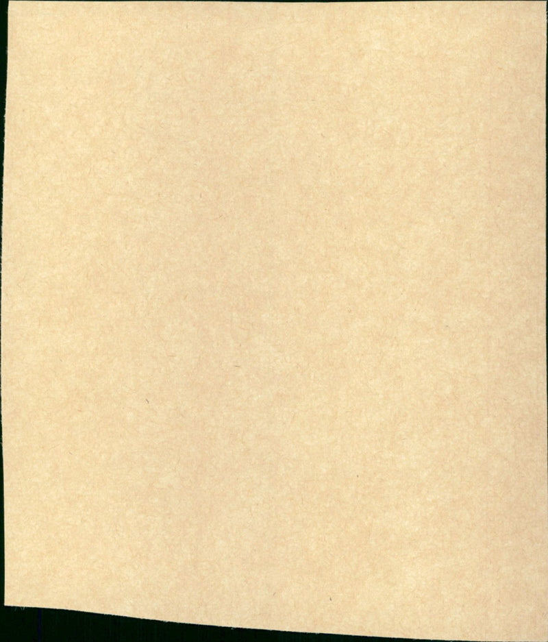 International Velvet - Vintage Photograph