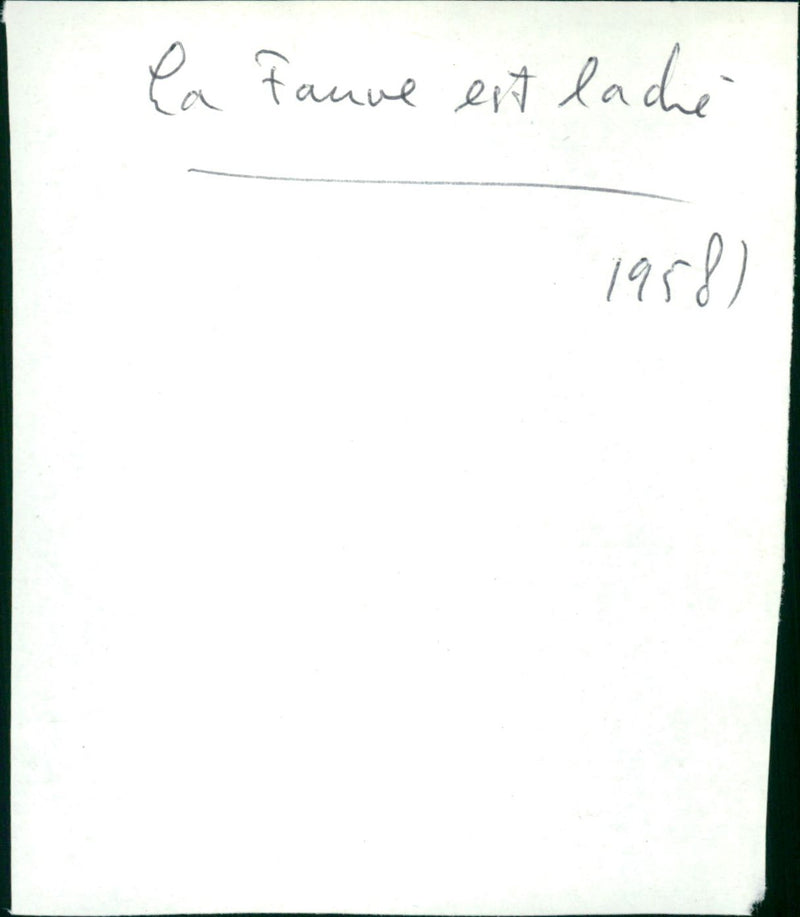 La fauve est laché - Vintage Photograph