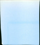 La fauve est laché - Vintage Photograph