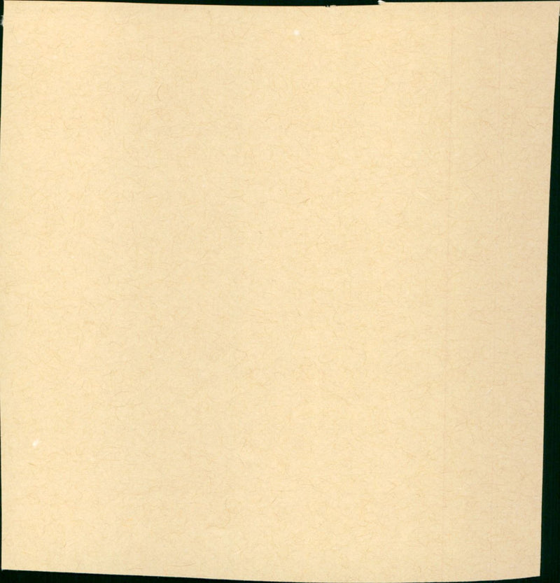 Intervista - Vintage Photograph