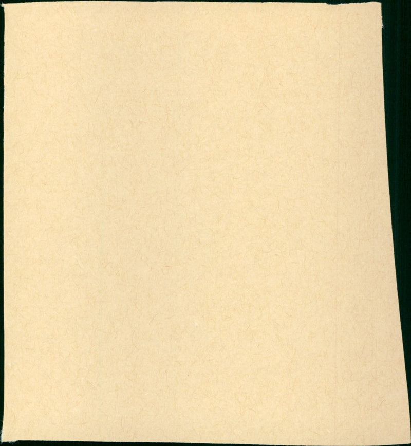 In the Soup - Vintage Photograph