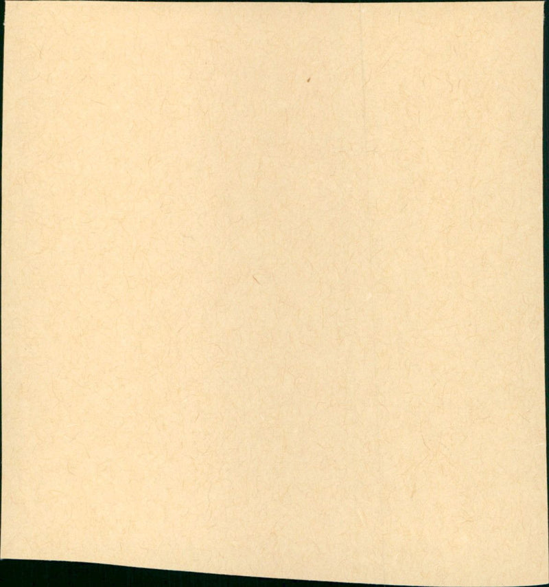 Flight from Ashiya - Vintage Photograph