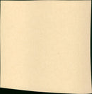 Into the Fire - Vintage Photograph