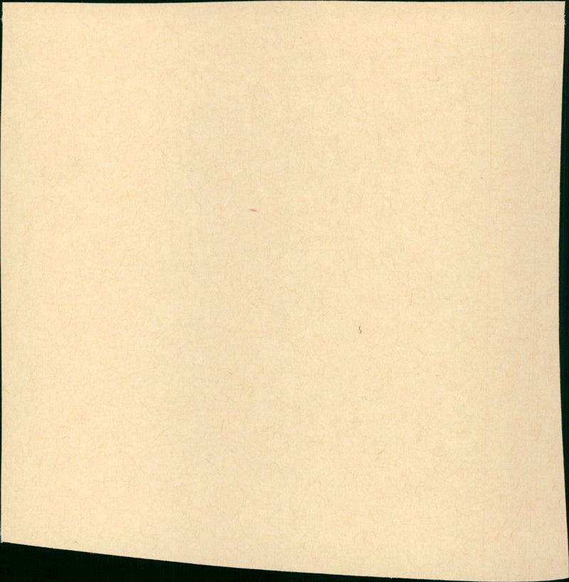 Into the Fire - Vintage Photograph