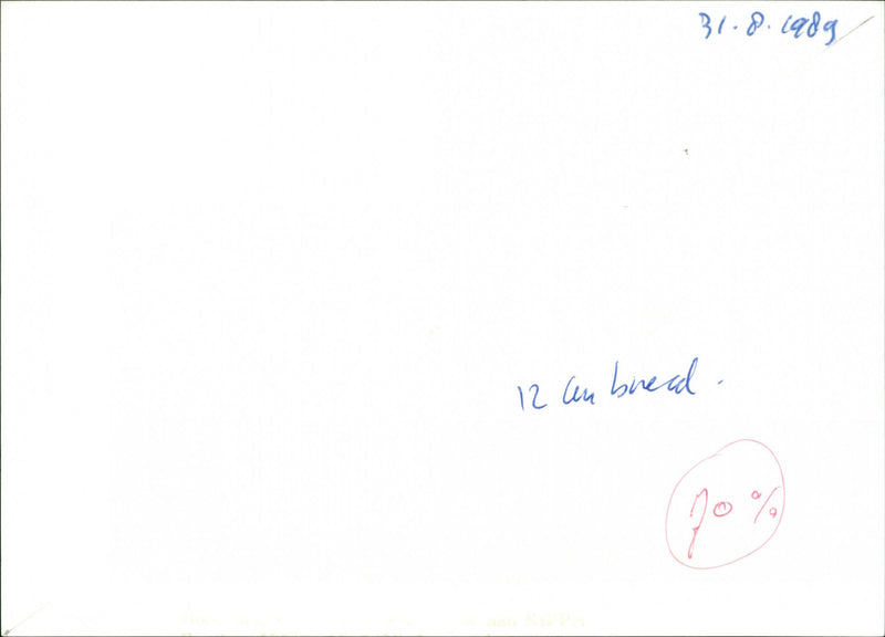 The Flight of the Phoenix - Vintage Photograph