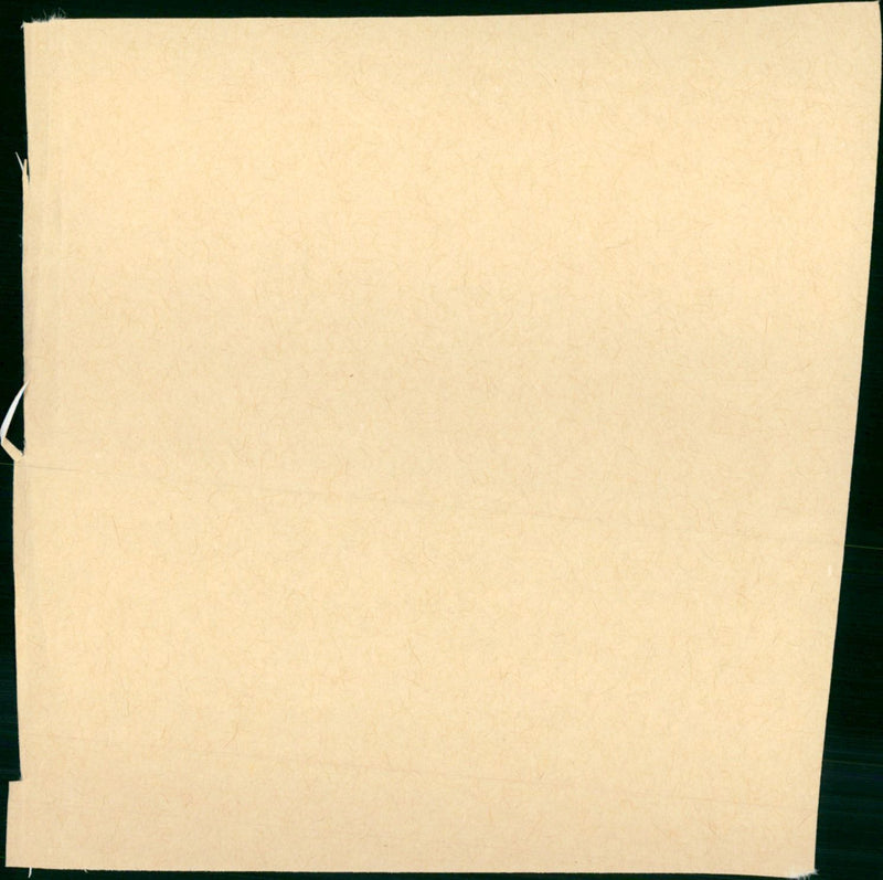 The Flight of the Phoenix - Vintage Photograph