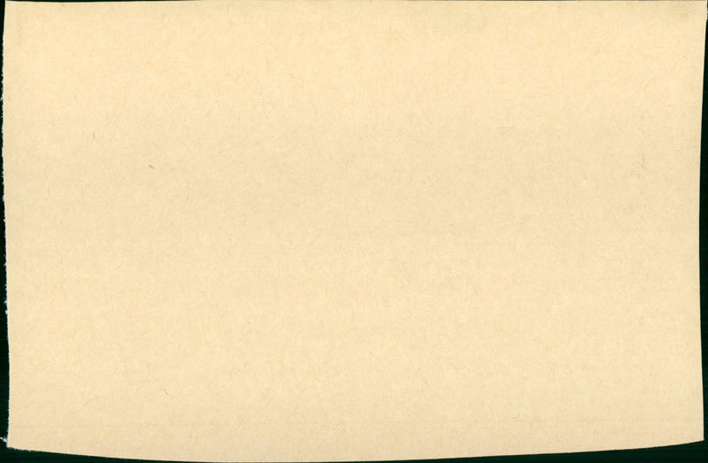 The Favour, the Watch and the Very Big Fish - Vintage Photograph