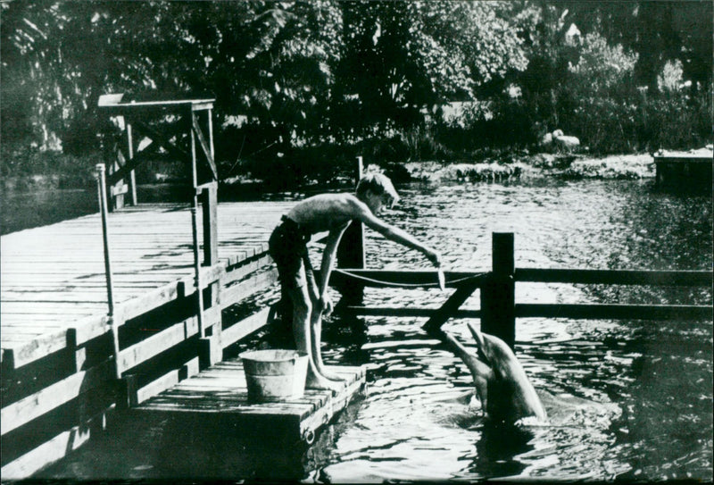Luke Halpin - Flipper - Vintage Photograph