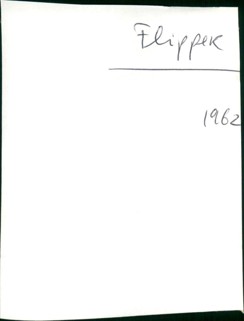 Flipper - Vintage Photograph