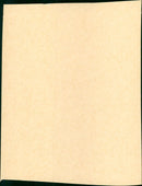 Flipper - Vintage Photograph