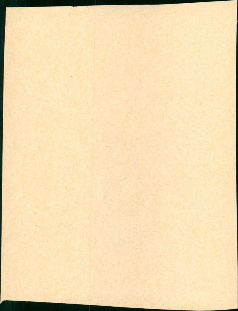 Flipper - Vintage Photograph