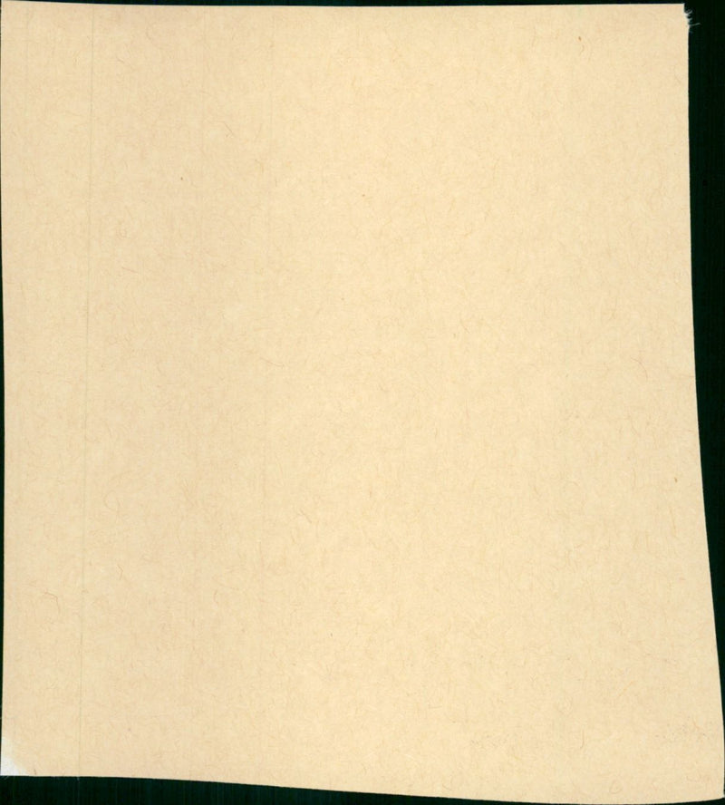 Fearless - Vintage Photograph