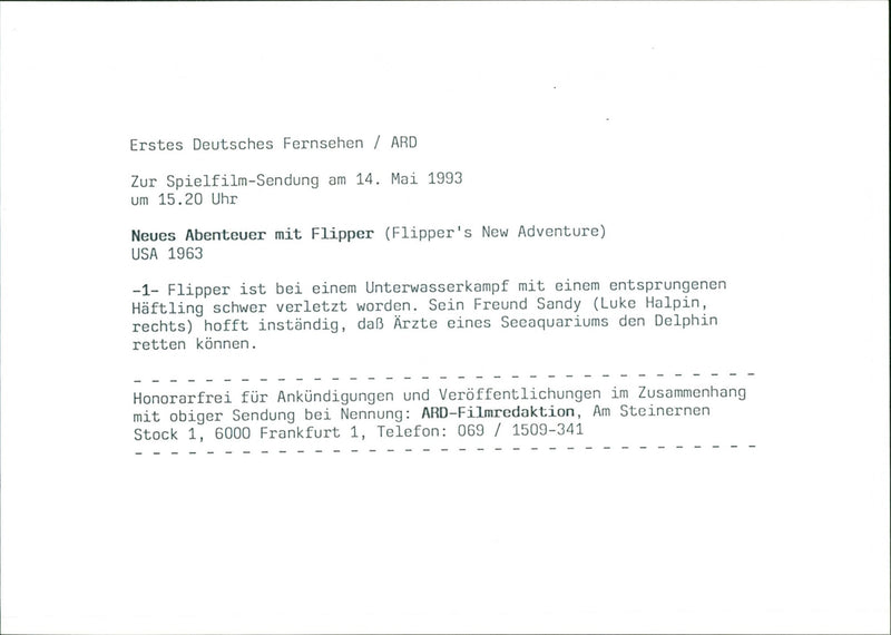 Flipper's New Adventure - Vintage Photograph