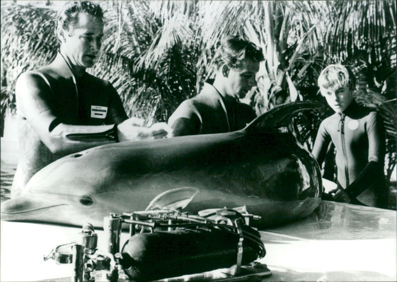 Flipper's New Adventure - Vintage Photograph